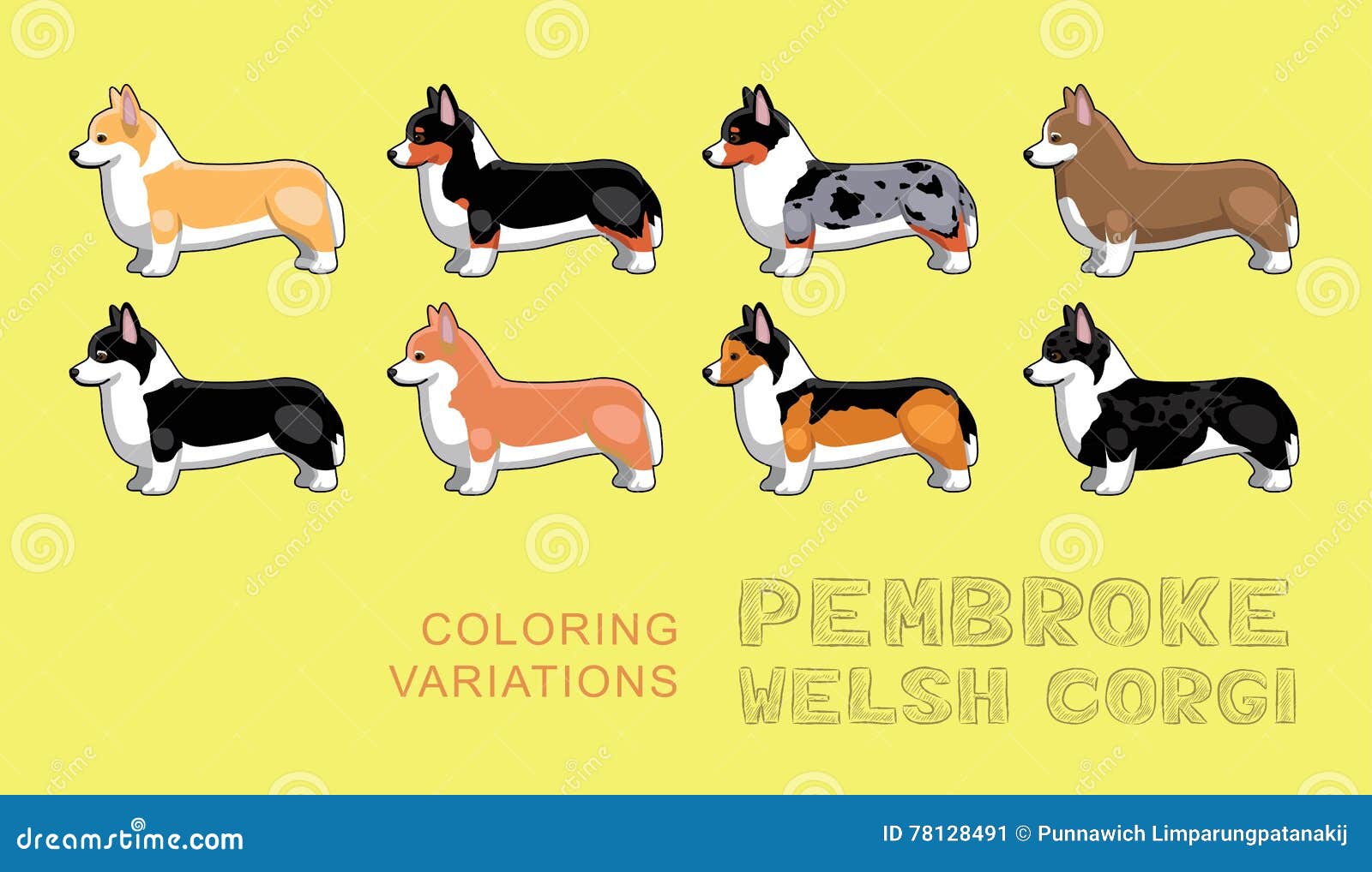 Dog Pembroke Welsh Corgi Coloring Variations Vector Illustration Stock Vector Illustration Of Stand Puppy 78128491