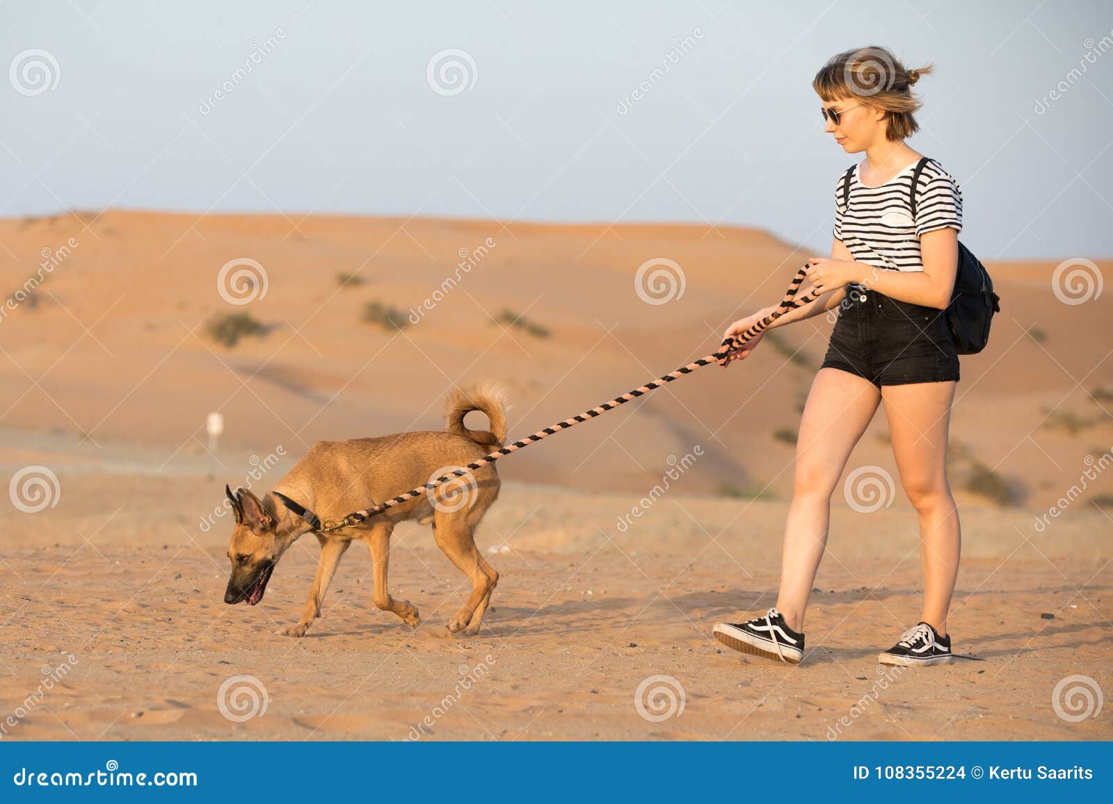 Amedelyofpotpourri: Basenji Dog Dubai