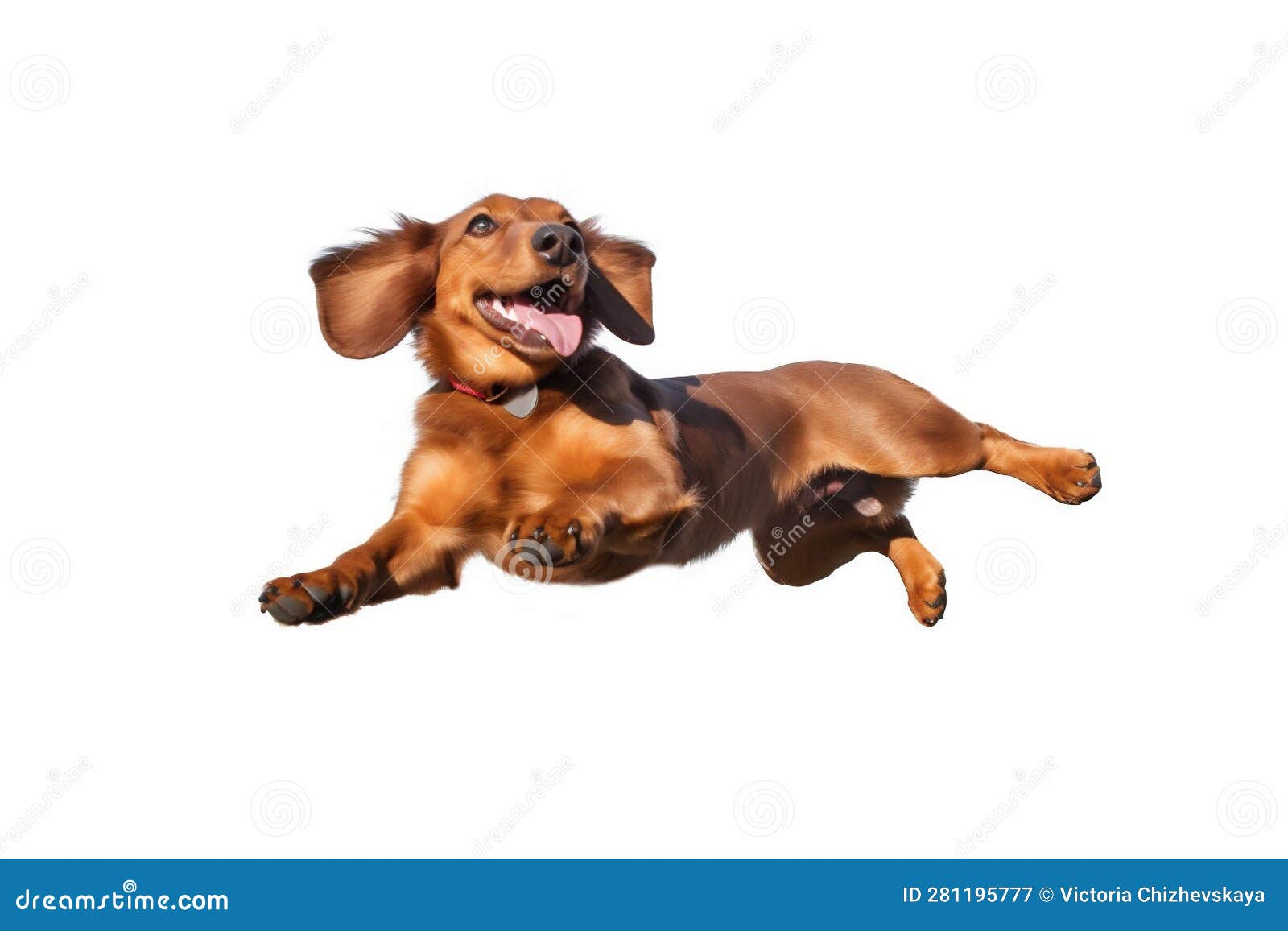 cute dog background  doggy purebred pet jump fly white animal. generative ai.