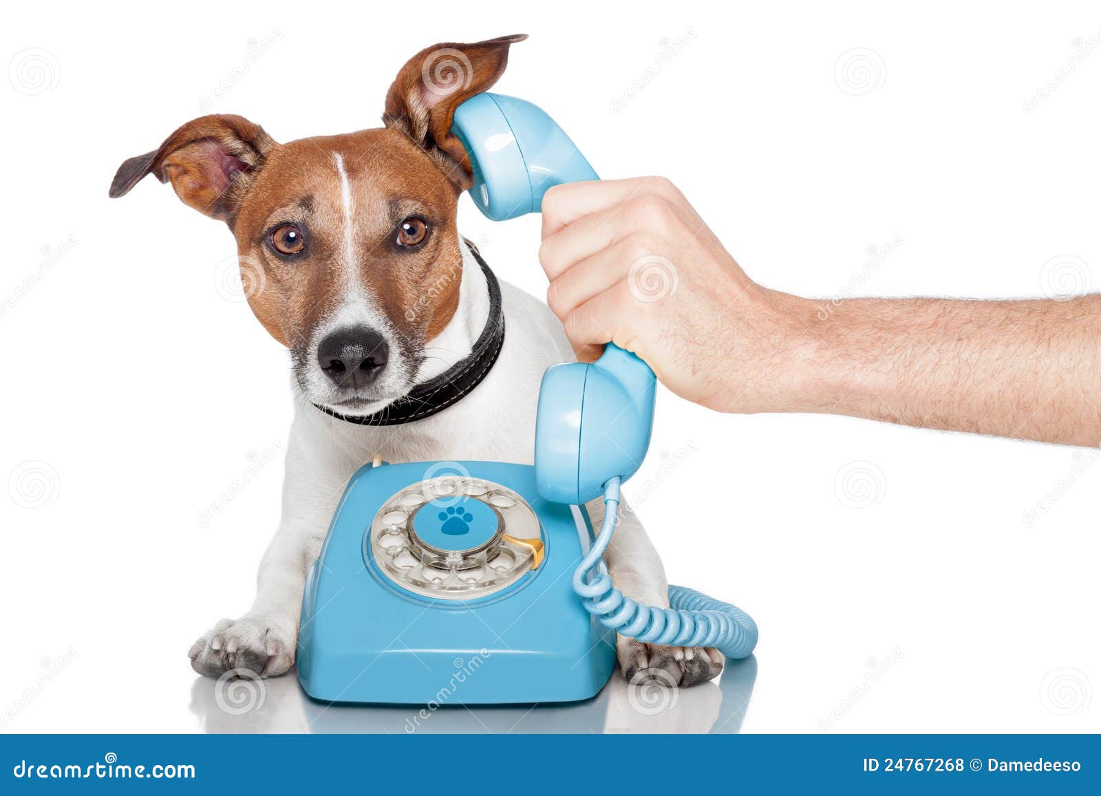 Vintage Dog Making Phone Call PHOTO Funny 1900s Puppy Playing Cell Phone Puppies 