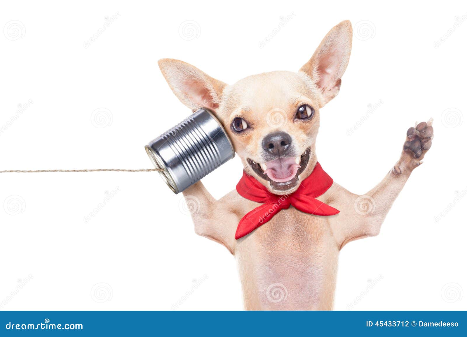Dog On The Phone Stock Photo Image 45433712