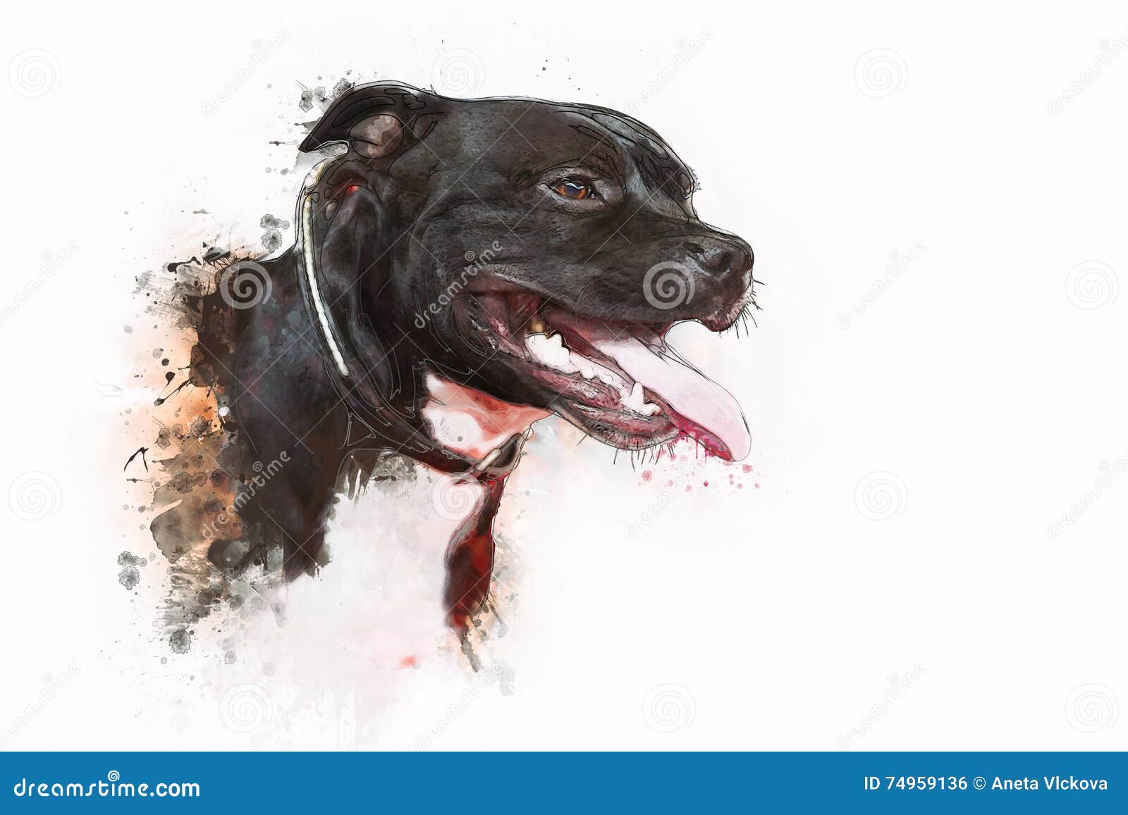 44 Pitbull Mix Breeds With Photos, image size:1600x1157