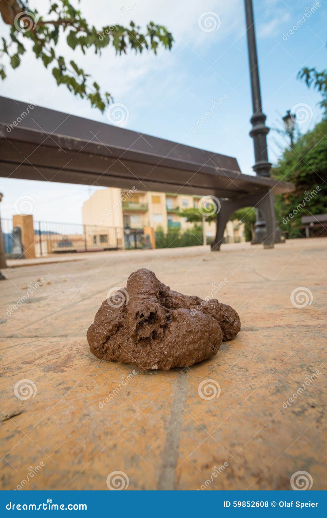 Dog poo stock photo. Image of shit, poop, manure, street 59852608