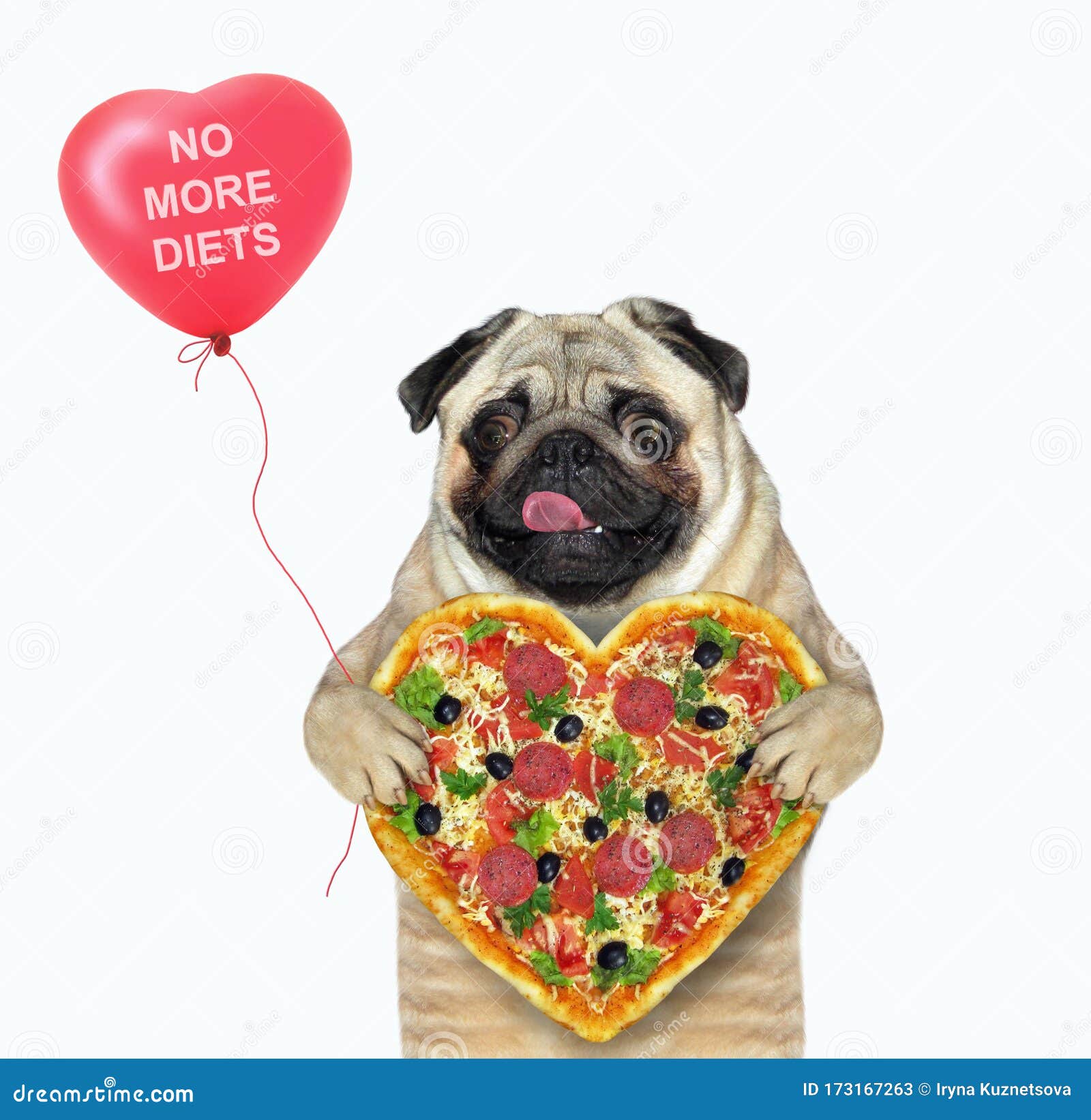 Dog Pug with Heart Shaped Pizza Stock Image - Image of closeup, italian ...