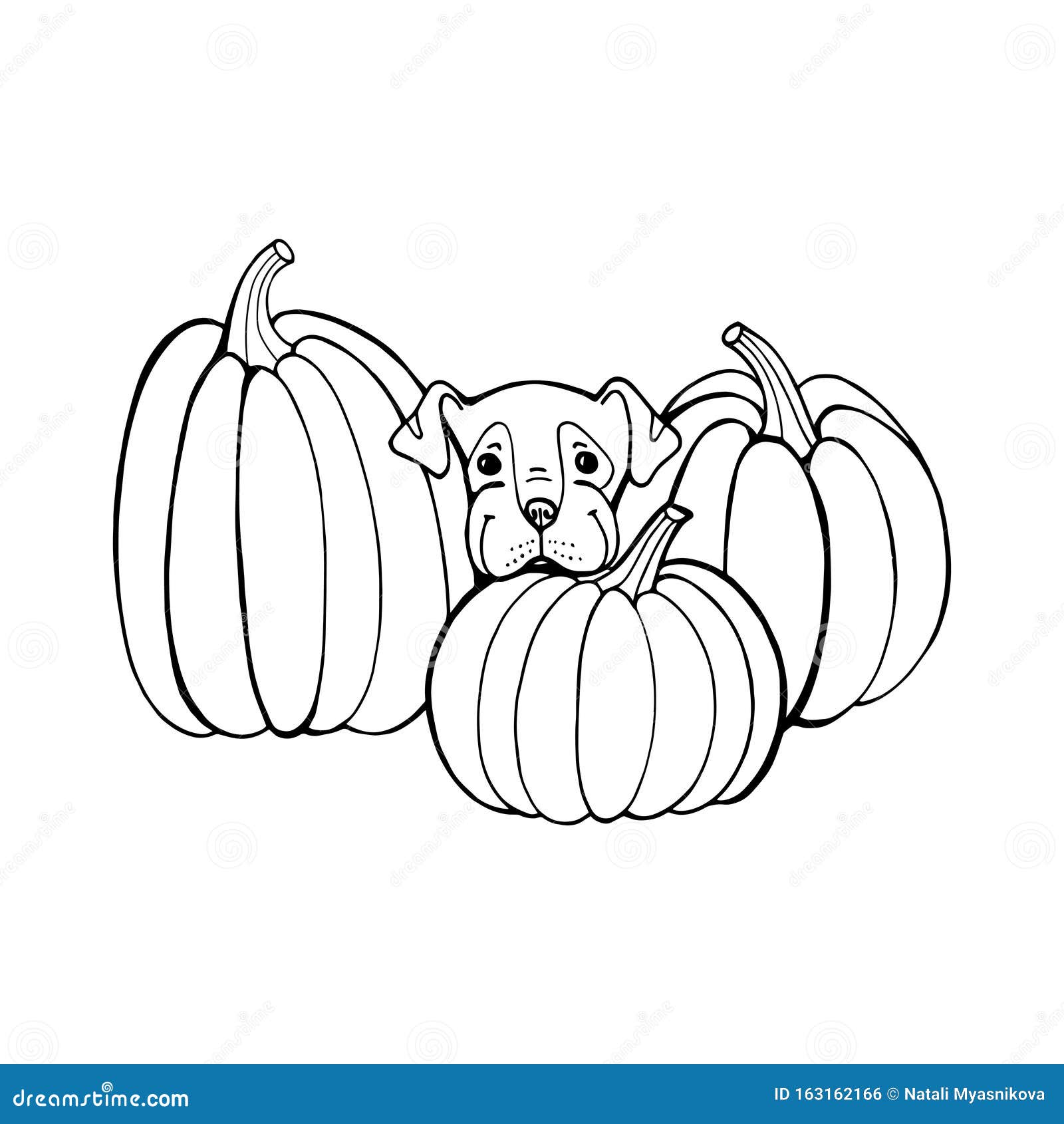 Dog with Pumpkin. Coloring Book Page. Outlines of Animals in Halloween