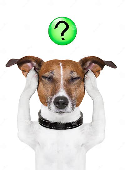 Dog question mark stock image. Image of idea, answer - 28749409