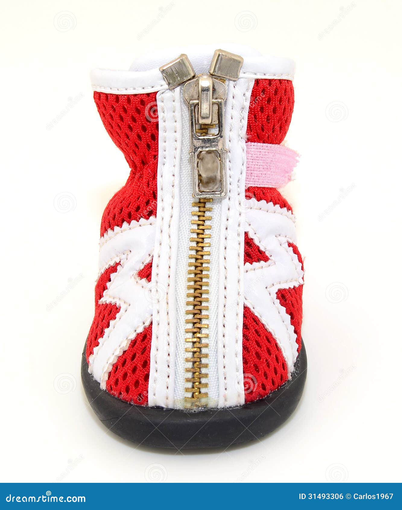 Dog red Boot stock photo. Image of canine, footwear, white 31493306