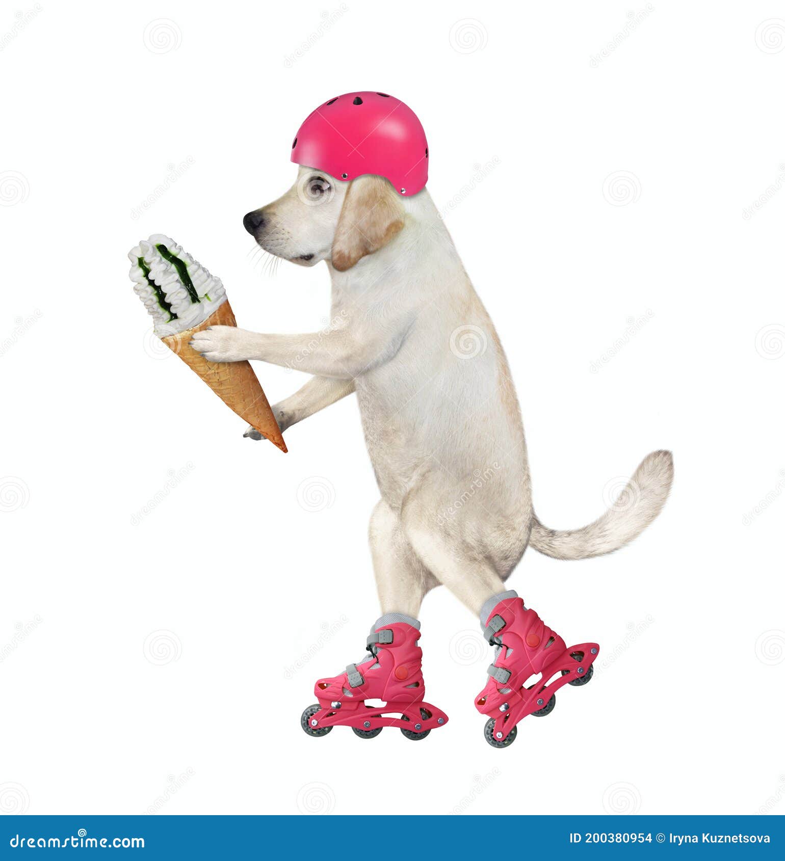 Dog Skates