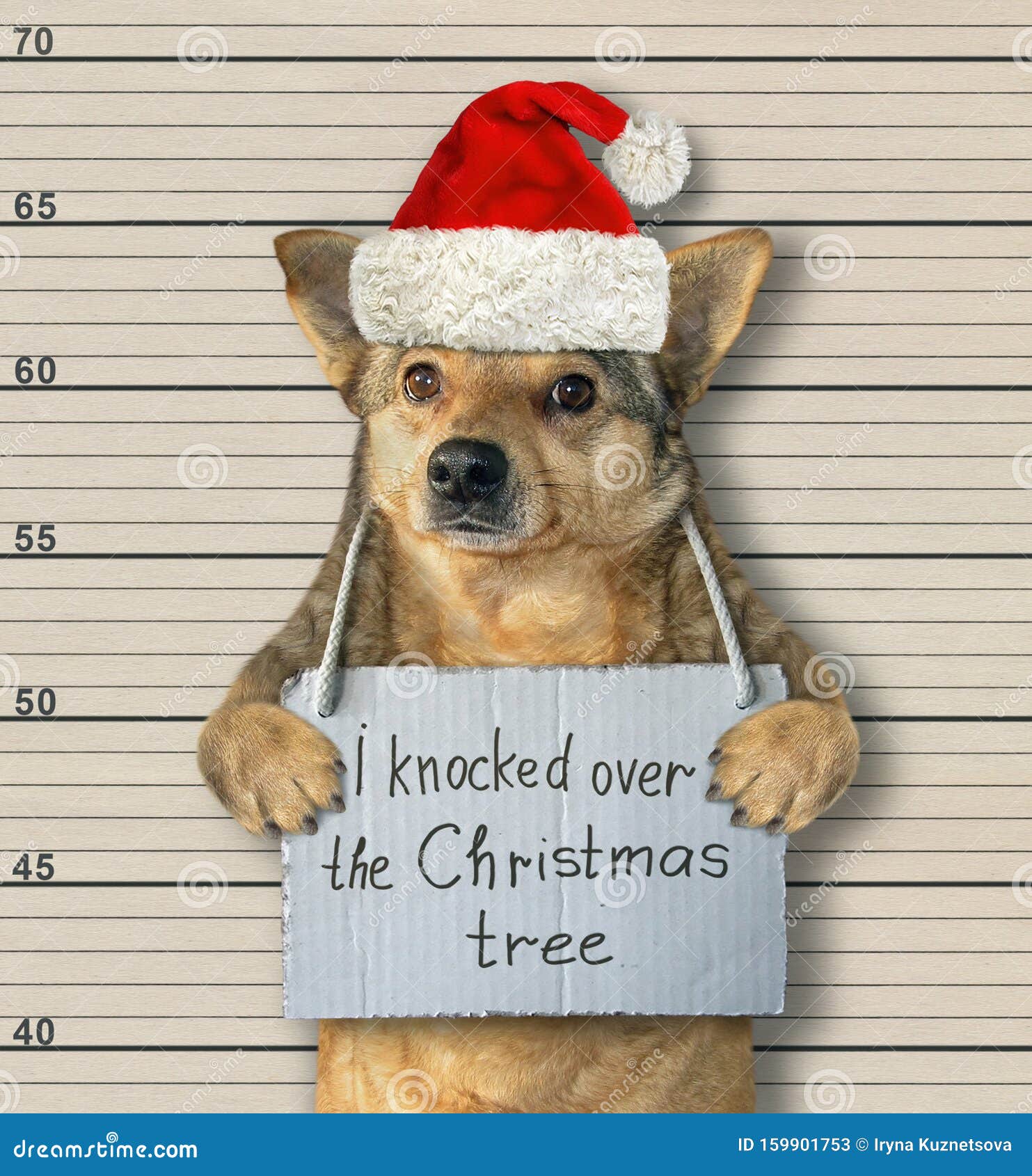 dog santa knocked christmas tree