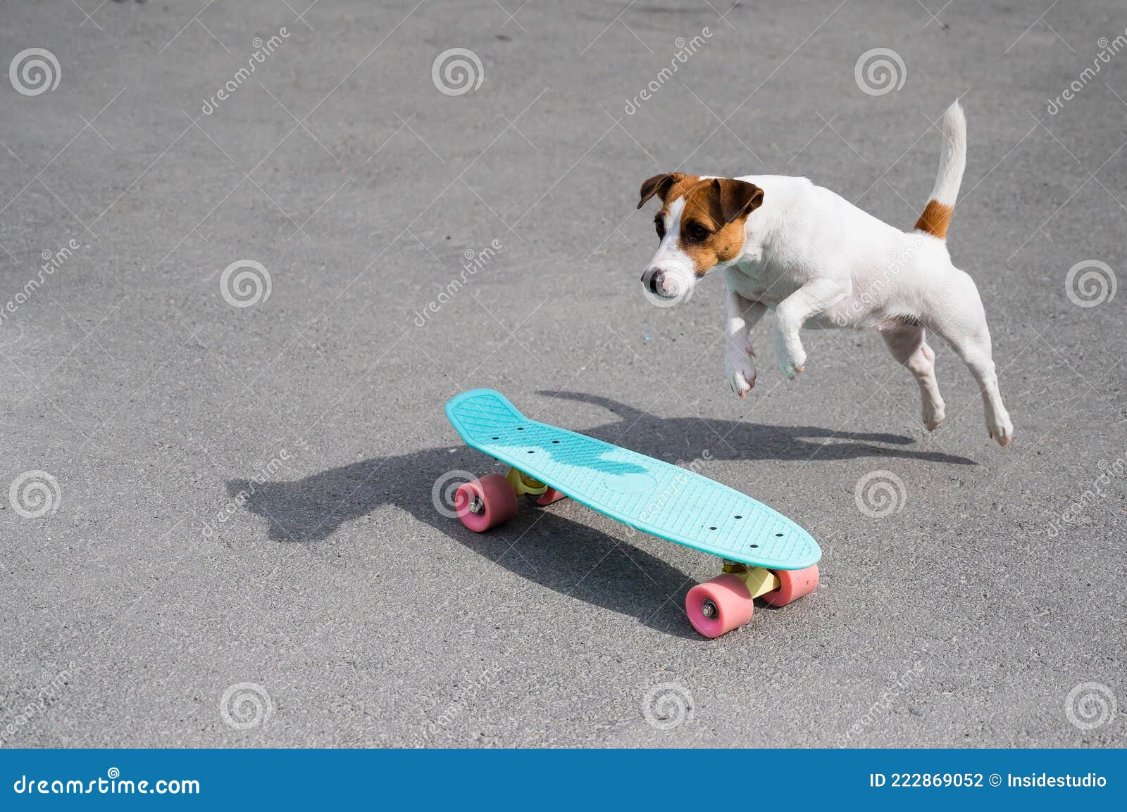 The Rides a Penny Board Outdoors. Russell Performing Tricks on a Skateboard Stock Photo - Image of purebred, 222869052
