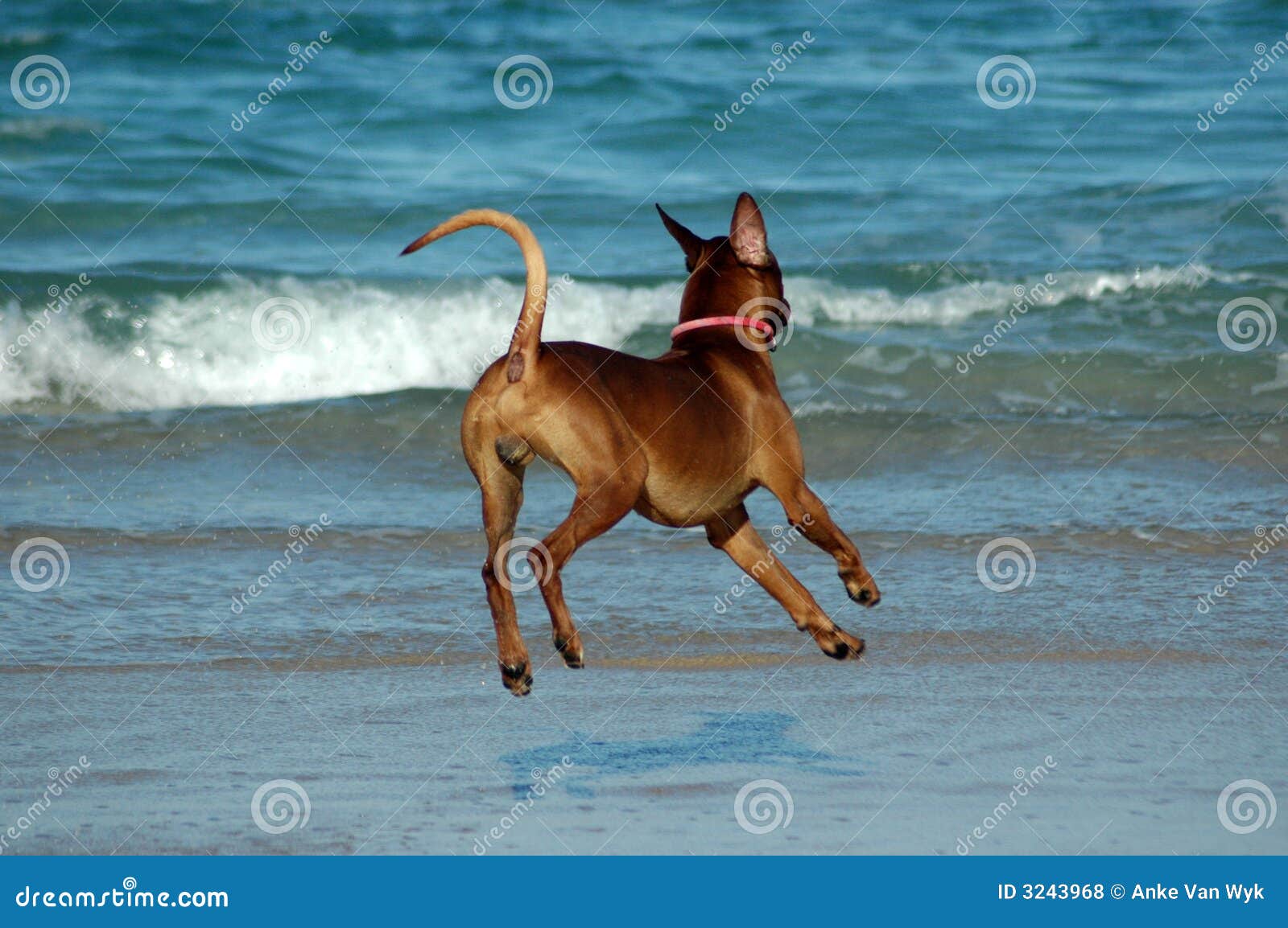 waves license center keygen waves license center keygen