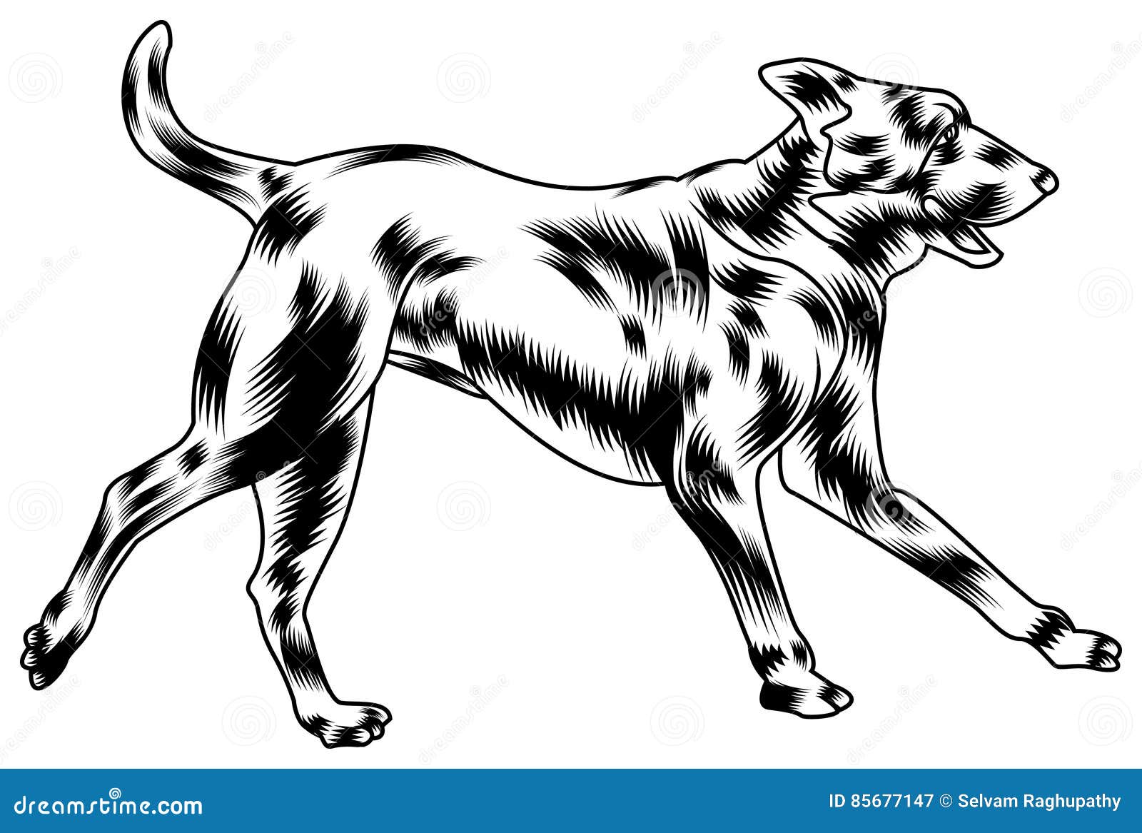 Dog running stock vector. Illustration of security, animal 85677147