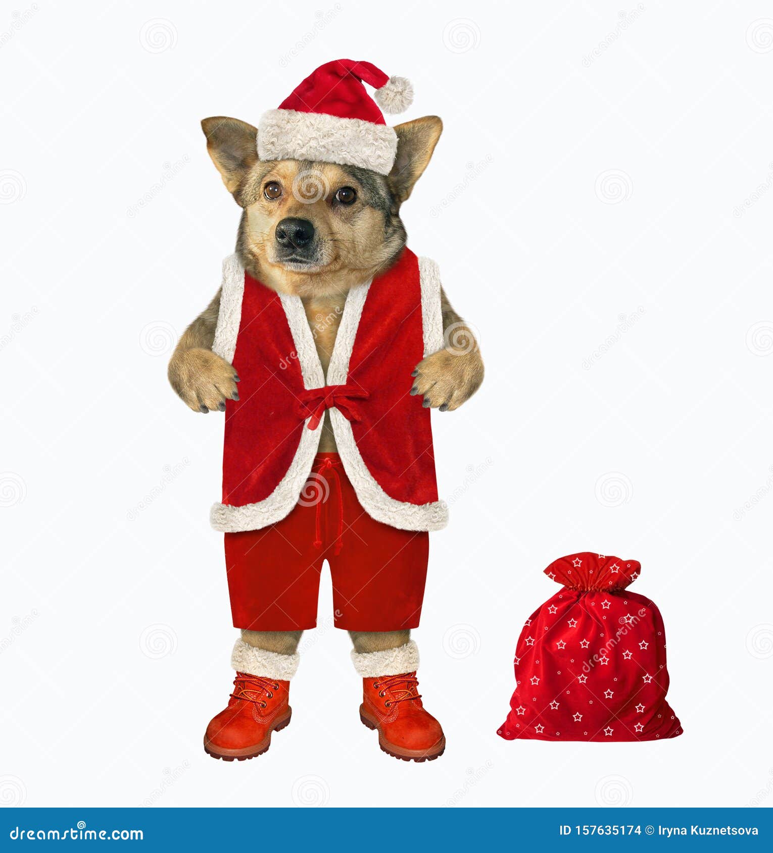 Dog with a sack of gifts stock photo. Image of boots 157635174