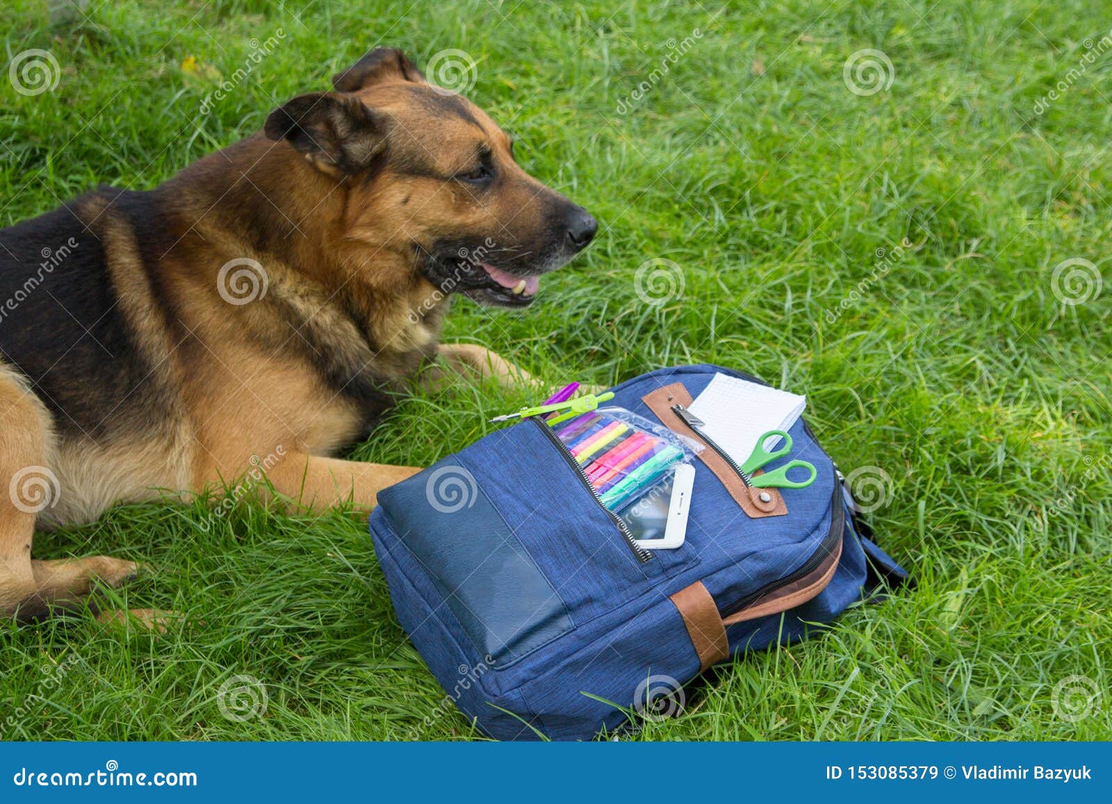 molle pack attachments