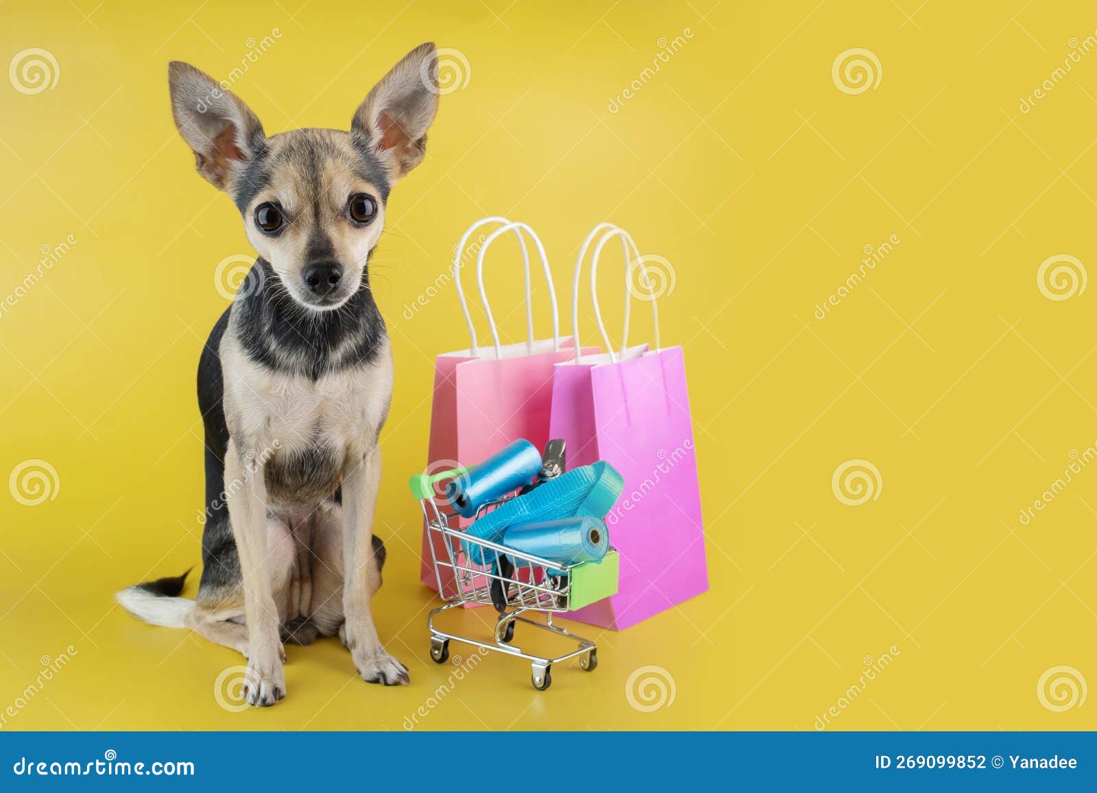 Shopping Bags & Carts - Accessories