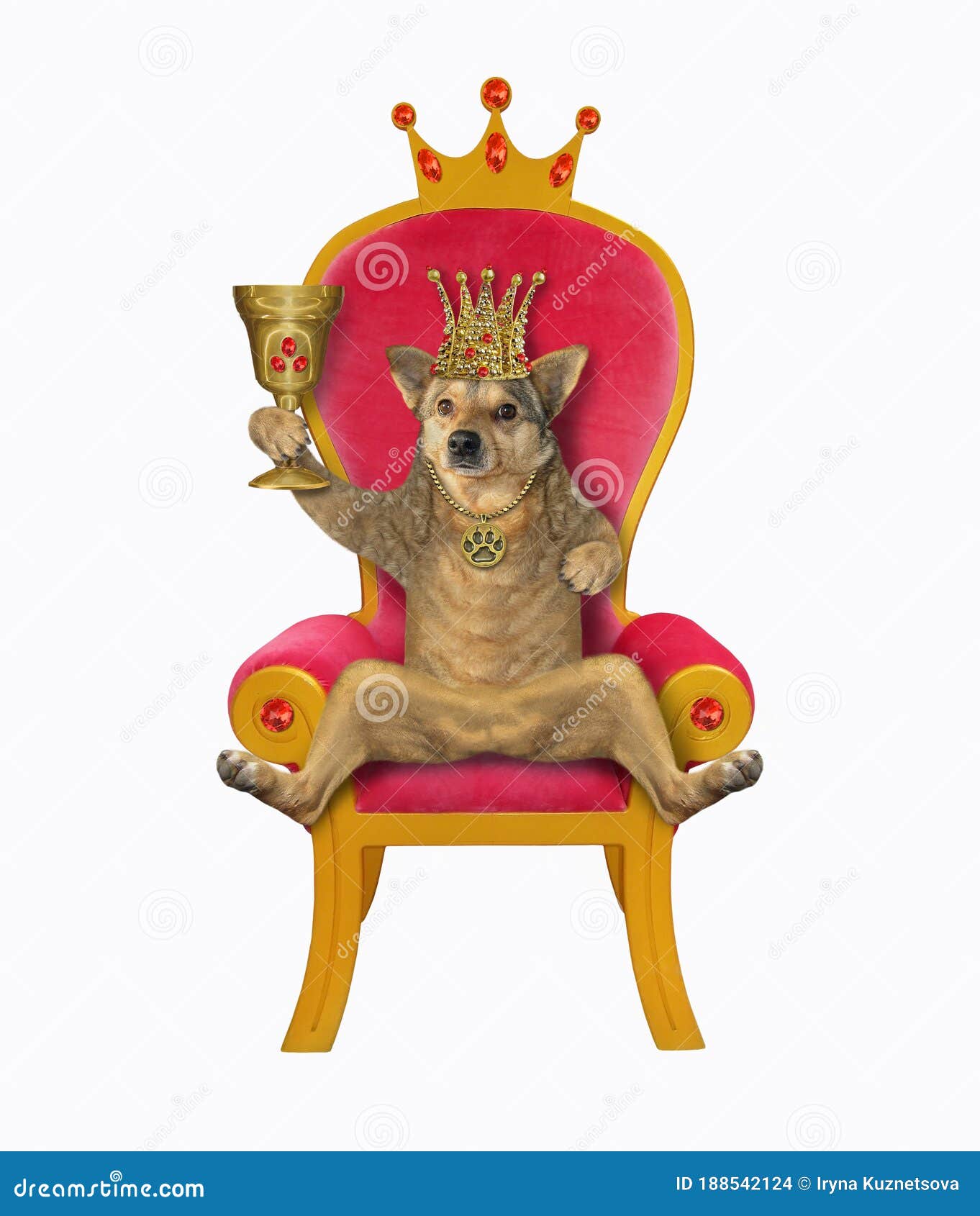 dog-sitting-king-throne-beige-golden-crown-red-drinking-wine-goblet-rubies-white-background-isolated-188542124.jpg