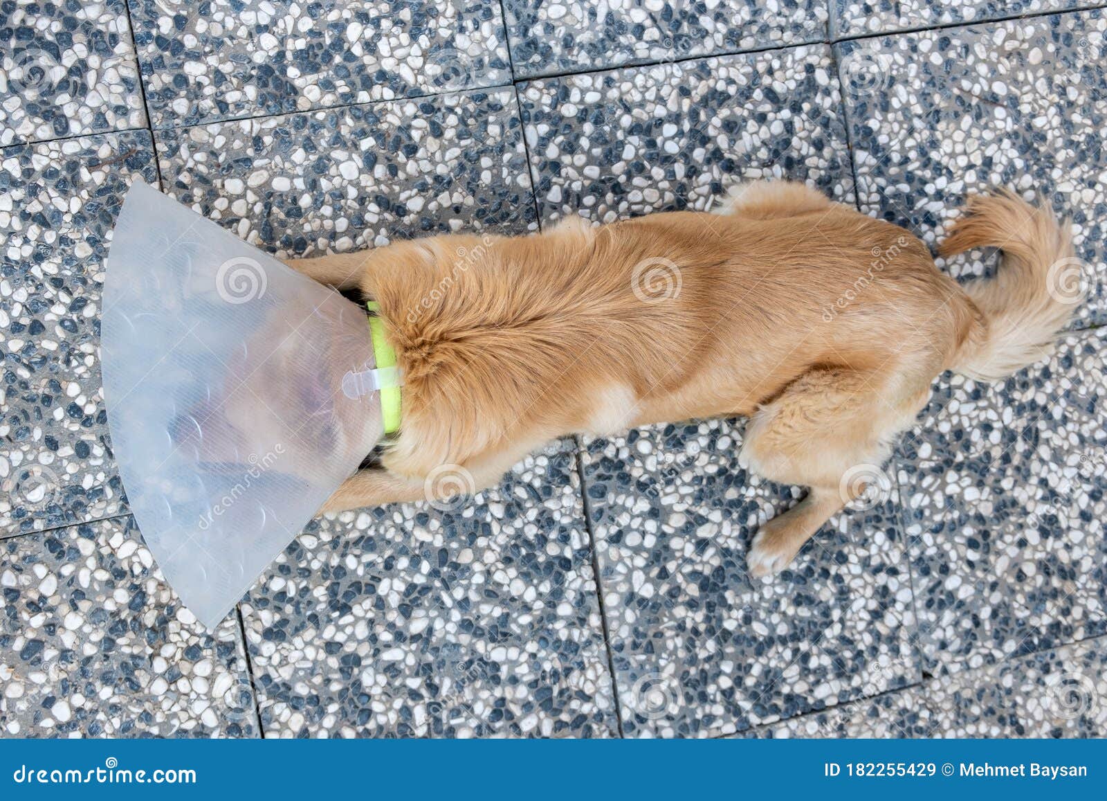 Infertile Surgery Stock Photos Free & RoyaltyFree Stock Photos from