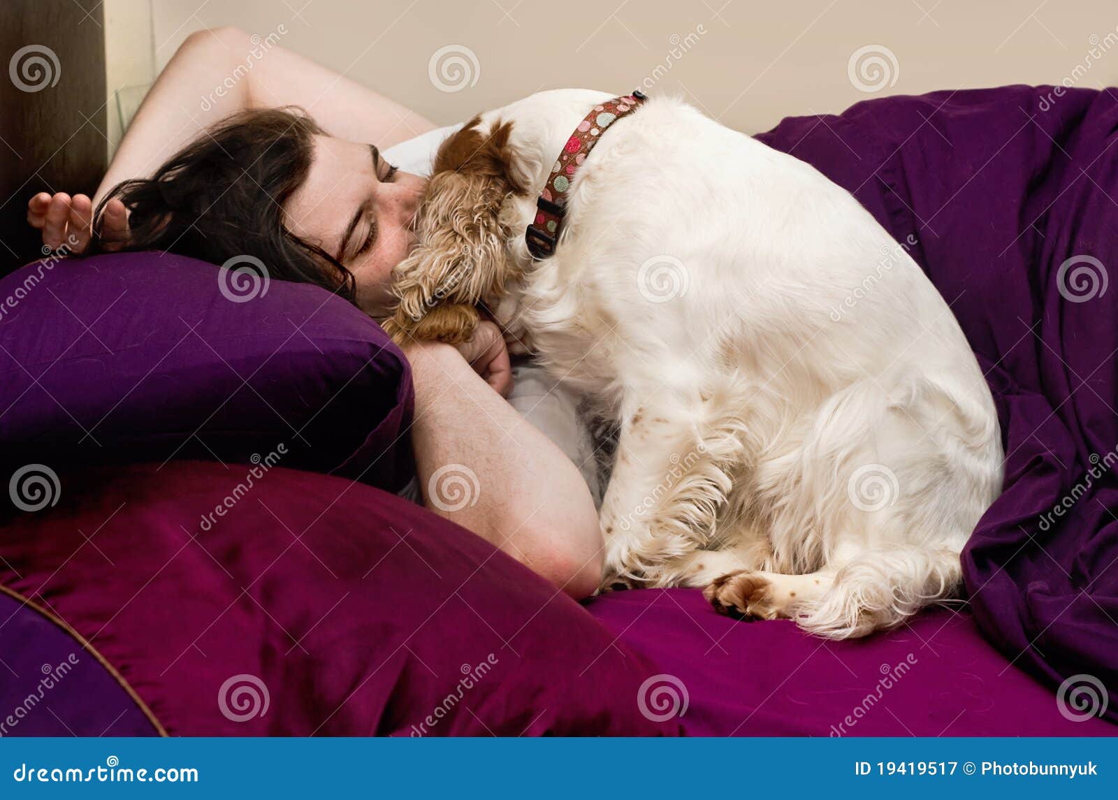 Dog with sleeping owner. stock image. Image of animal 19419517