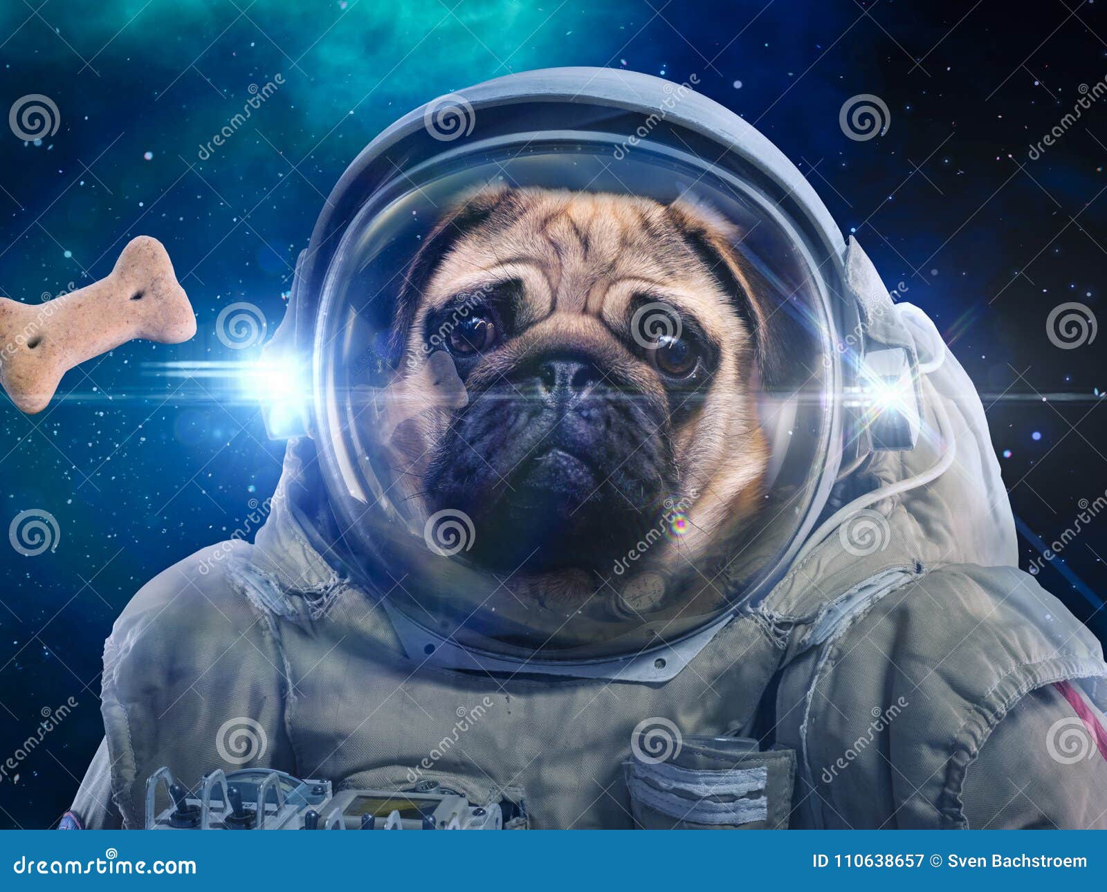 dog in space suit hunts dog food, hunt