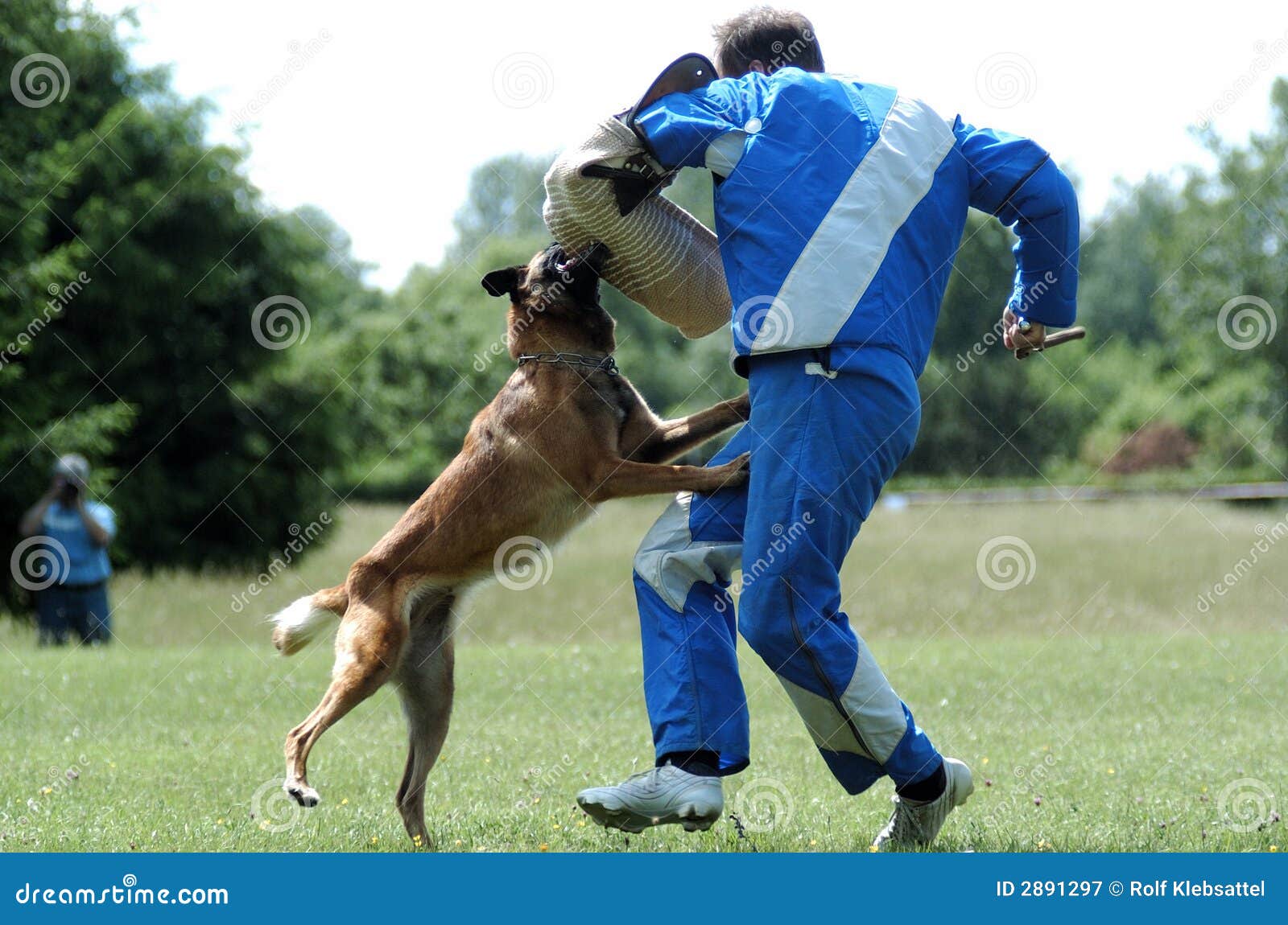 Dog sport stock image. Image of sleeve, wachhund, belgian 2891297