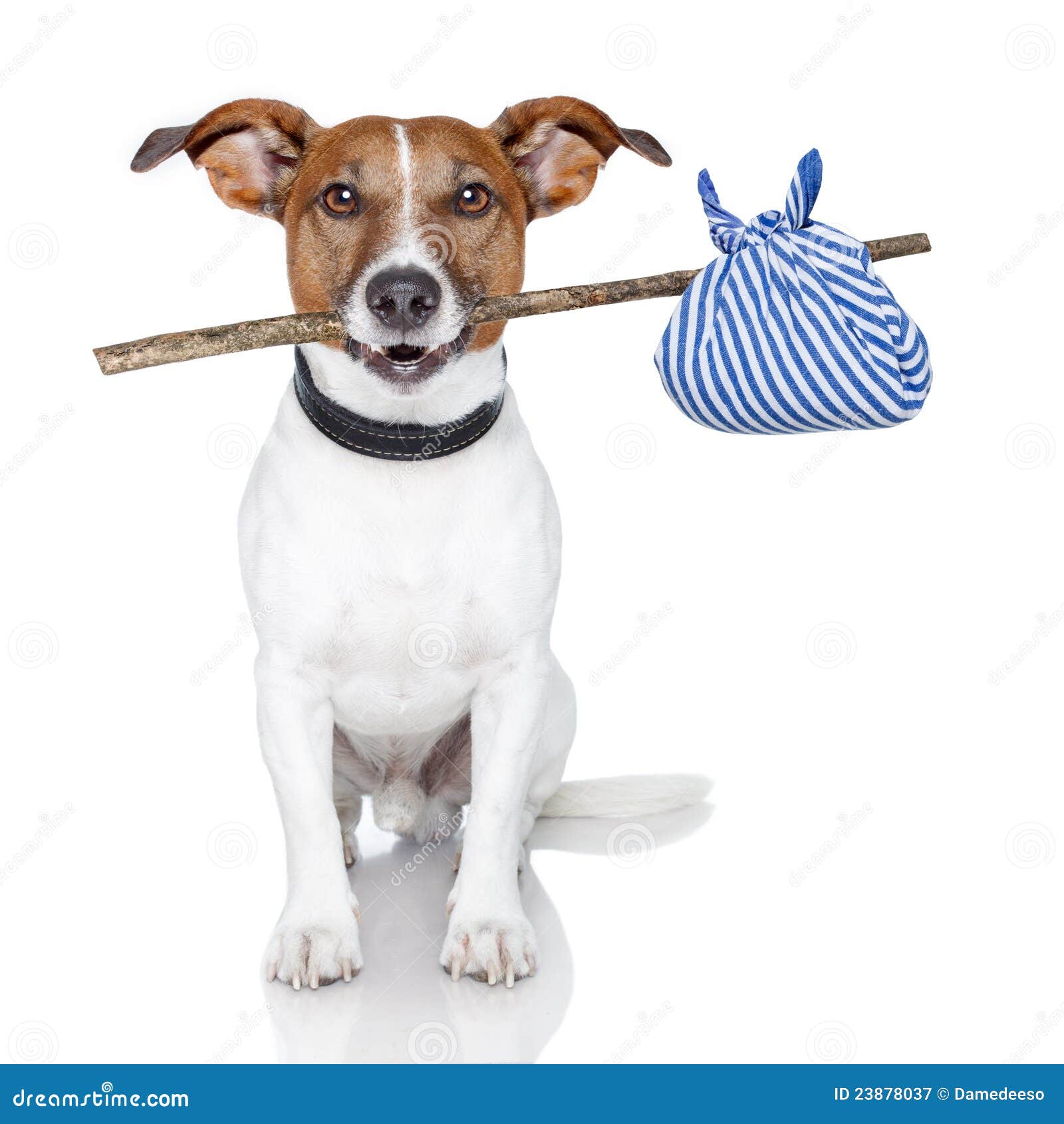 Dog with a stick stock image. Image of canine, helpless 23878037