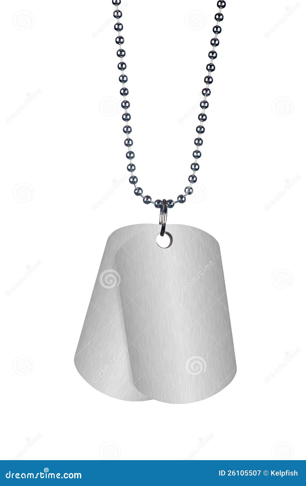 dog tags on white