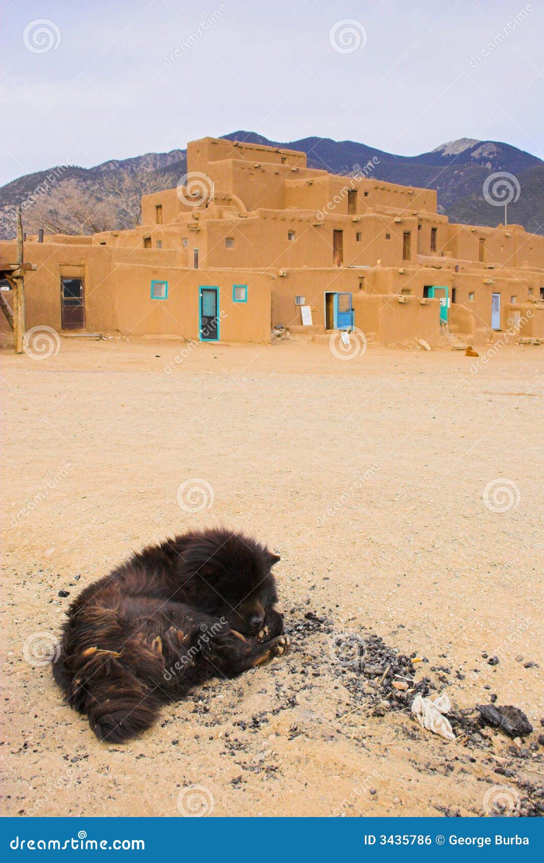 Dog of Taos stock photo. Image of house, culture, design 3435786