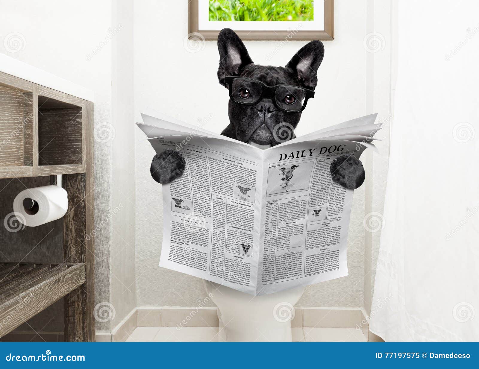 dog on toilet seat reading newspaper