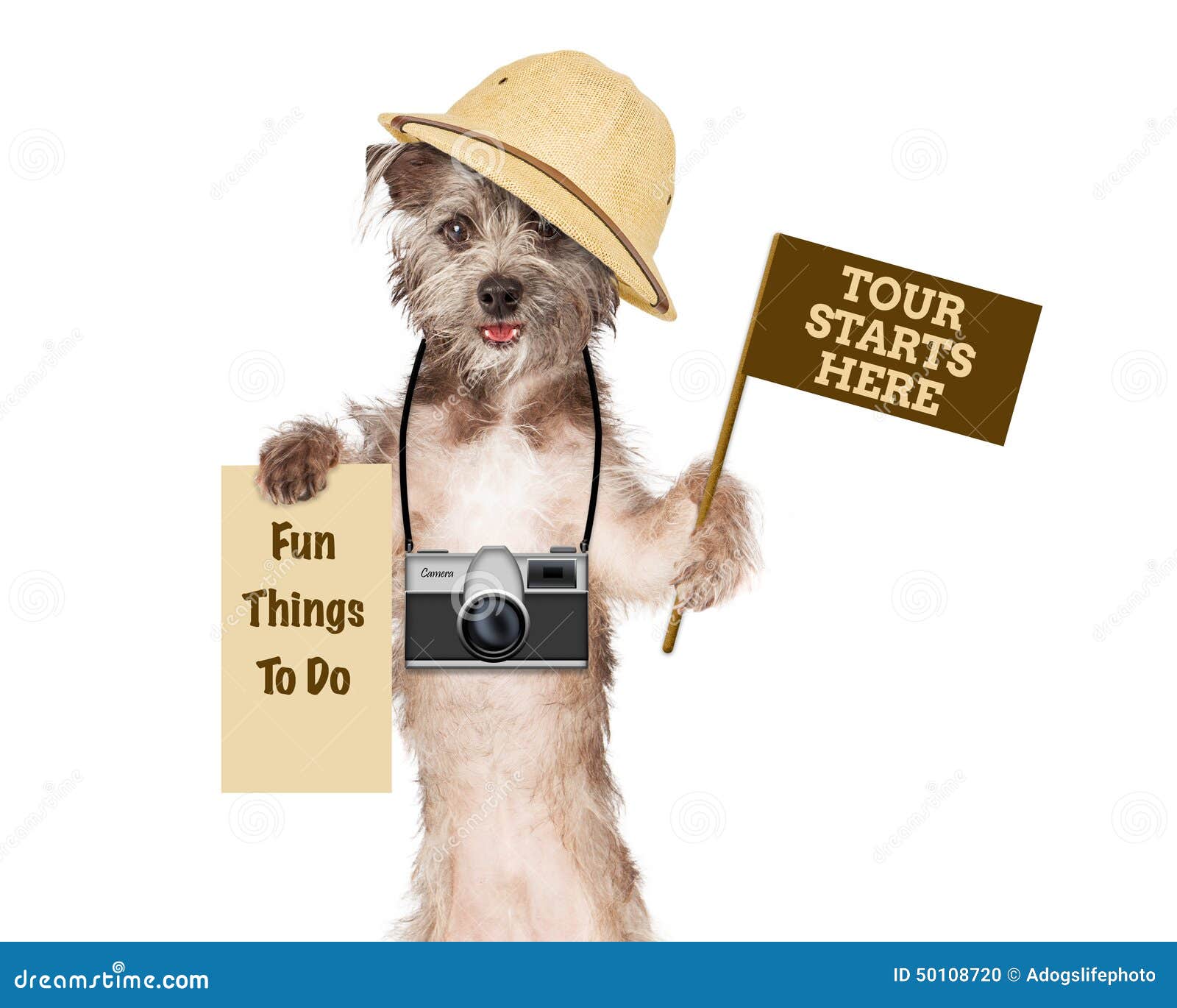 dog tour guide with camera and signs