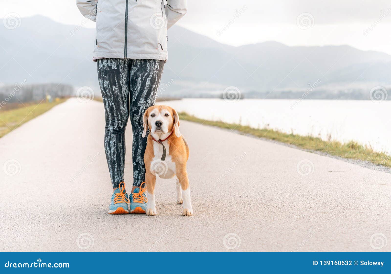 Dog Training Process after the Morning Jogging Stock Photo Image of autumn, jogging 139160632
