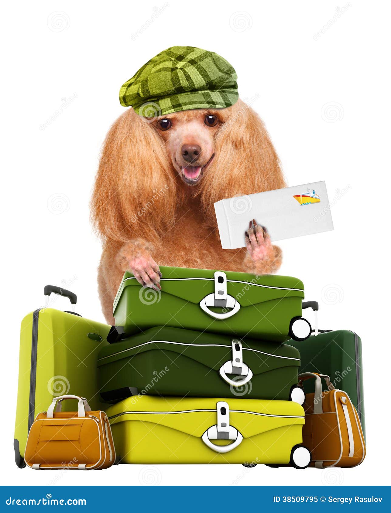 Dog traveler stock image. Image of leisure, cruise, holiday 38509795