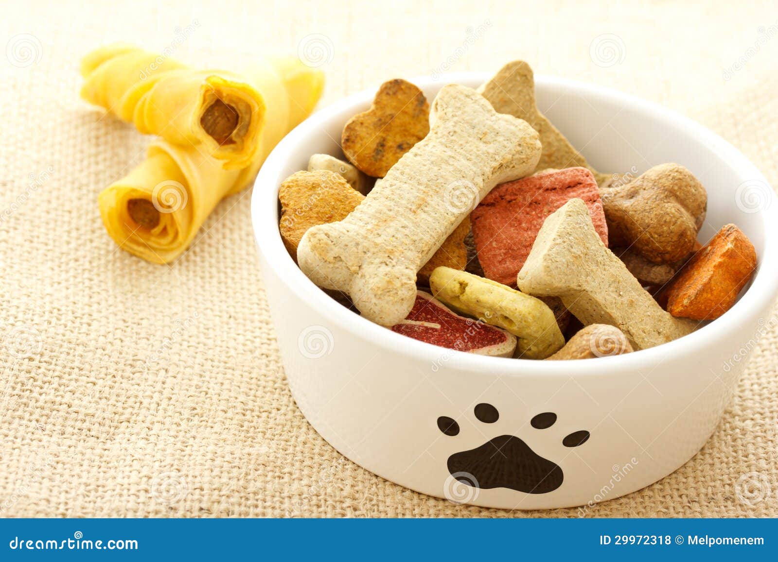 Dog food in bowl stock photo. Image of animal, pets, plate 29972318