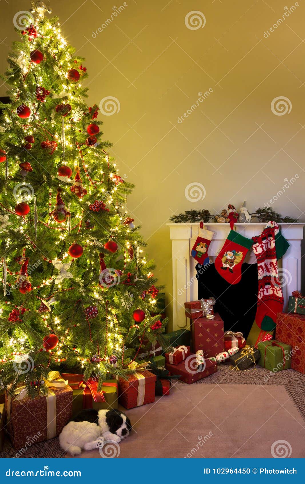 Dog Under the Christmas Tree Stock Photo Image of shiny, fire 102964450