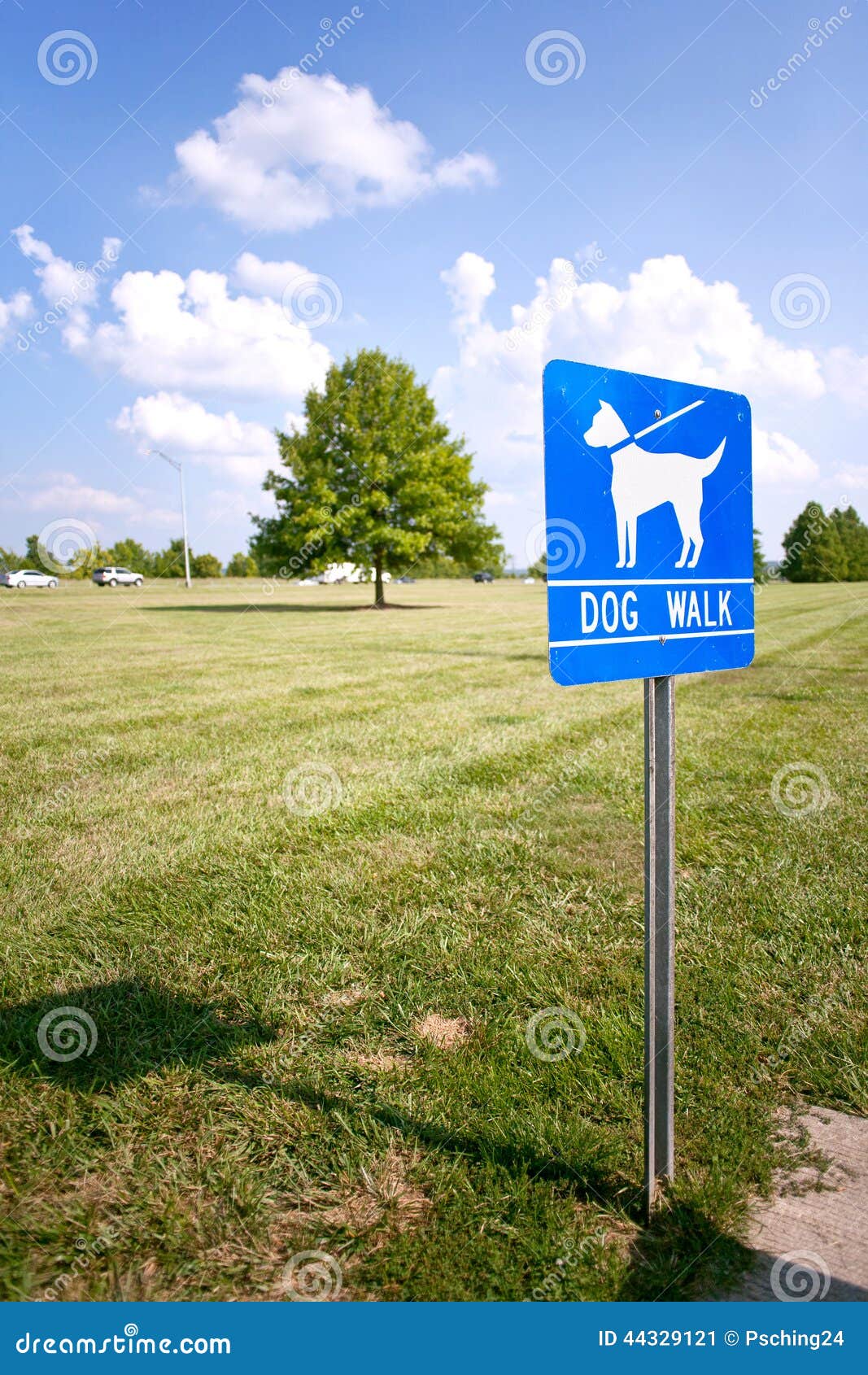 Dog walk sign in the park stock image. Image of field 44329121