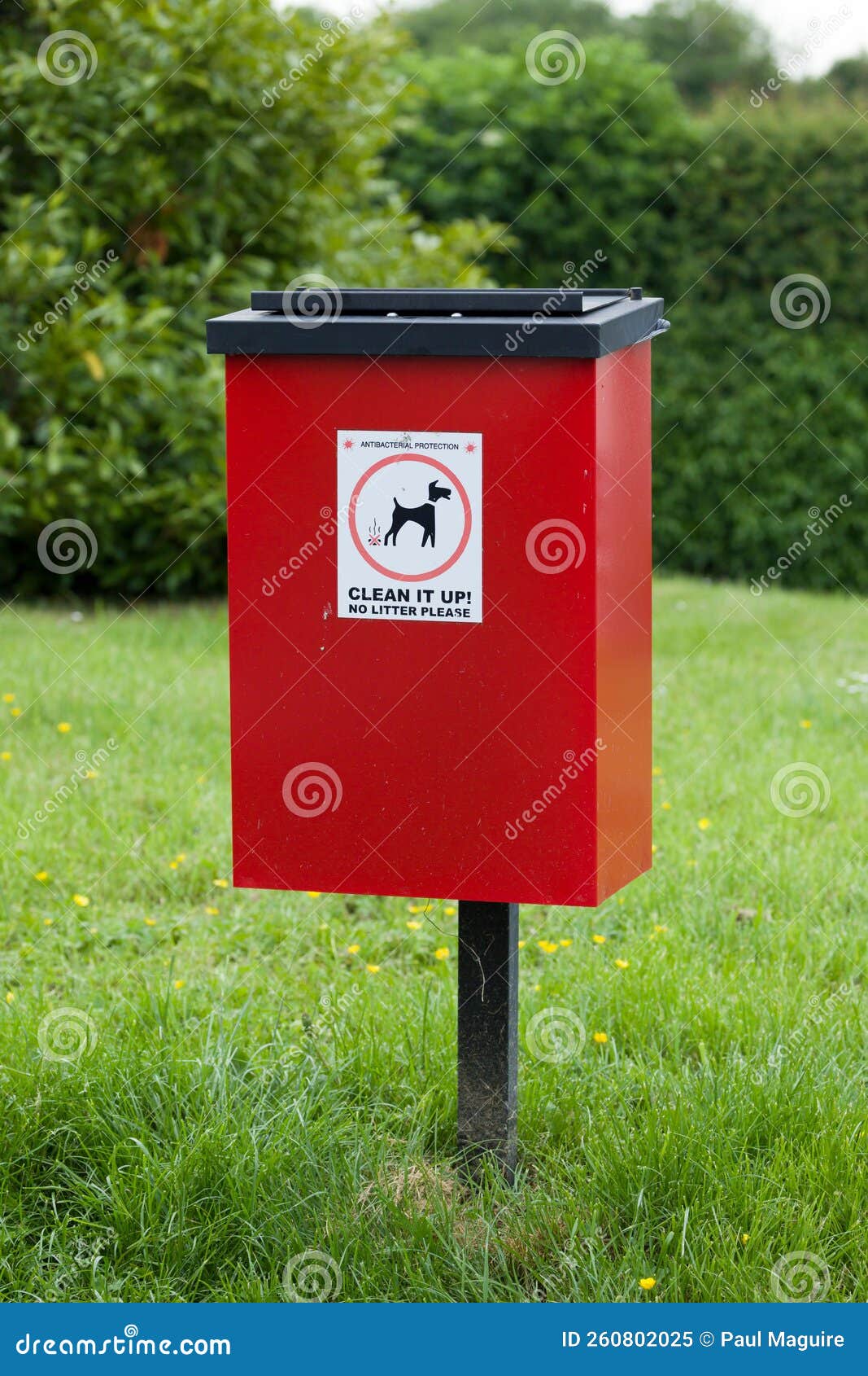 can you dipose of dog poop in waste container