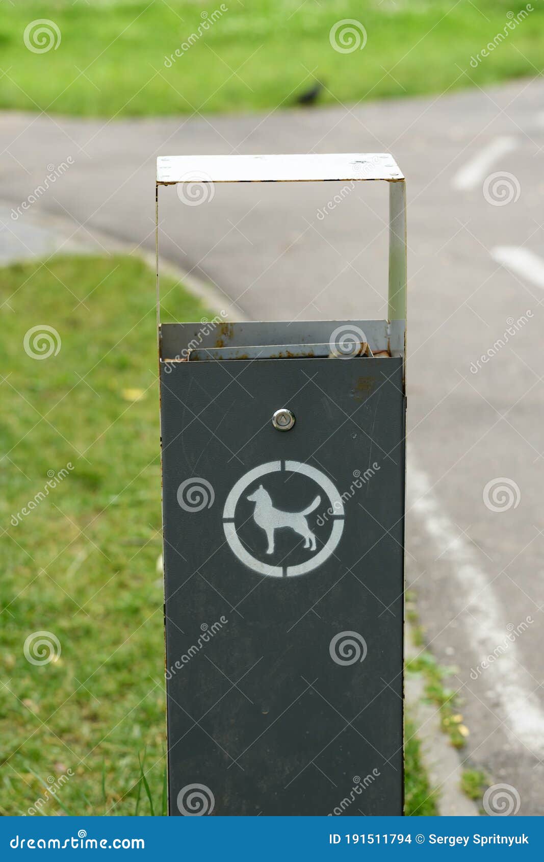 Dog Waste Container in a Park Stock Photo Image of trash, environment