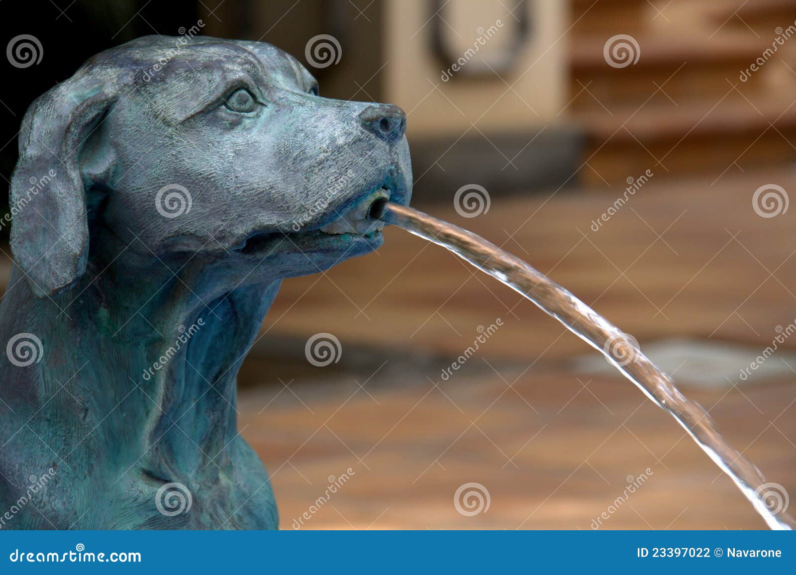 doggy water