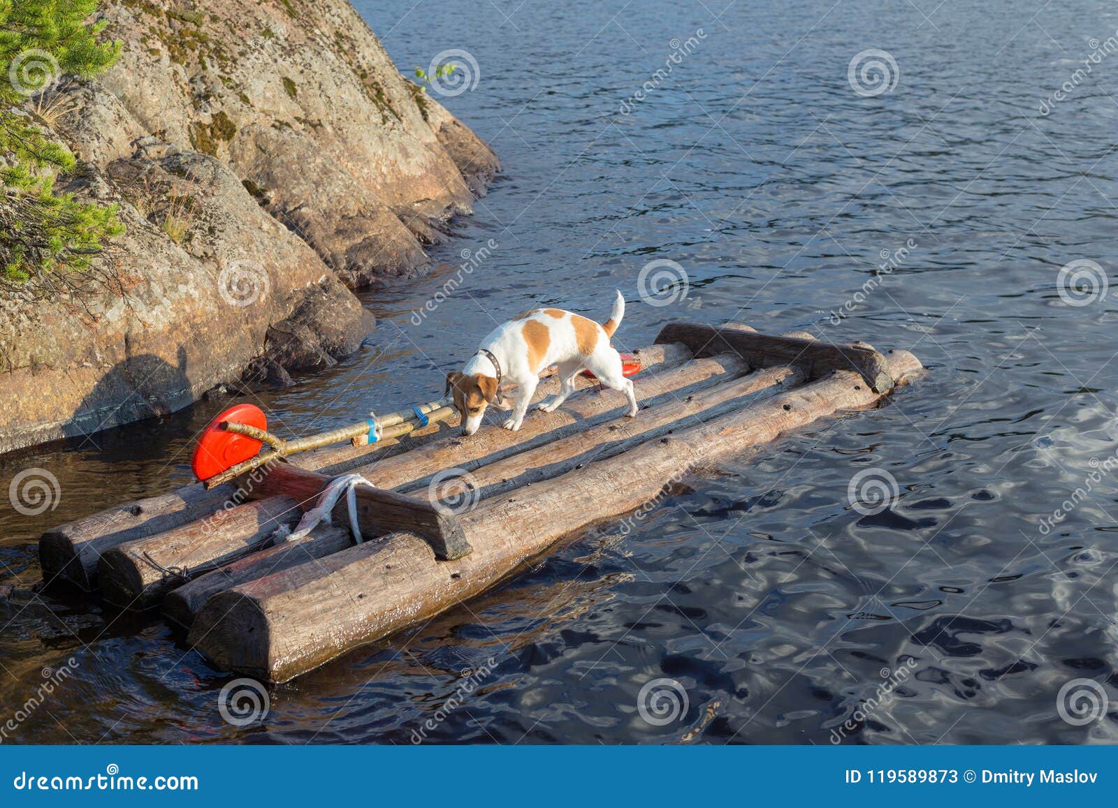 Dog on a wooden raft stock image. Image of raft, russell 119589873