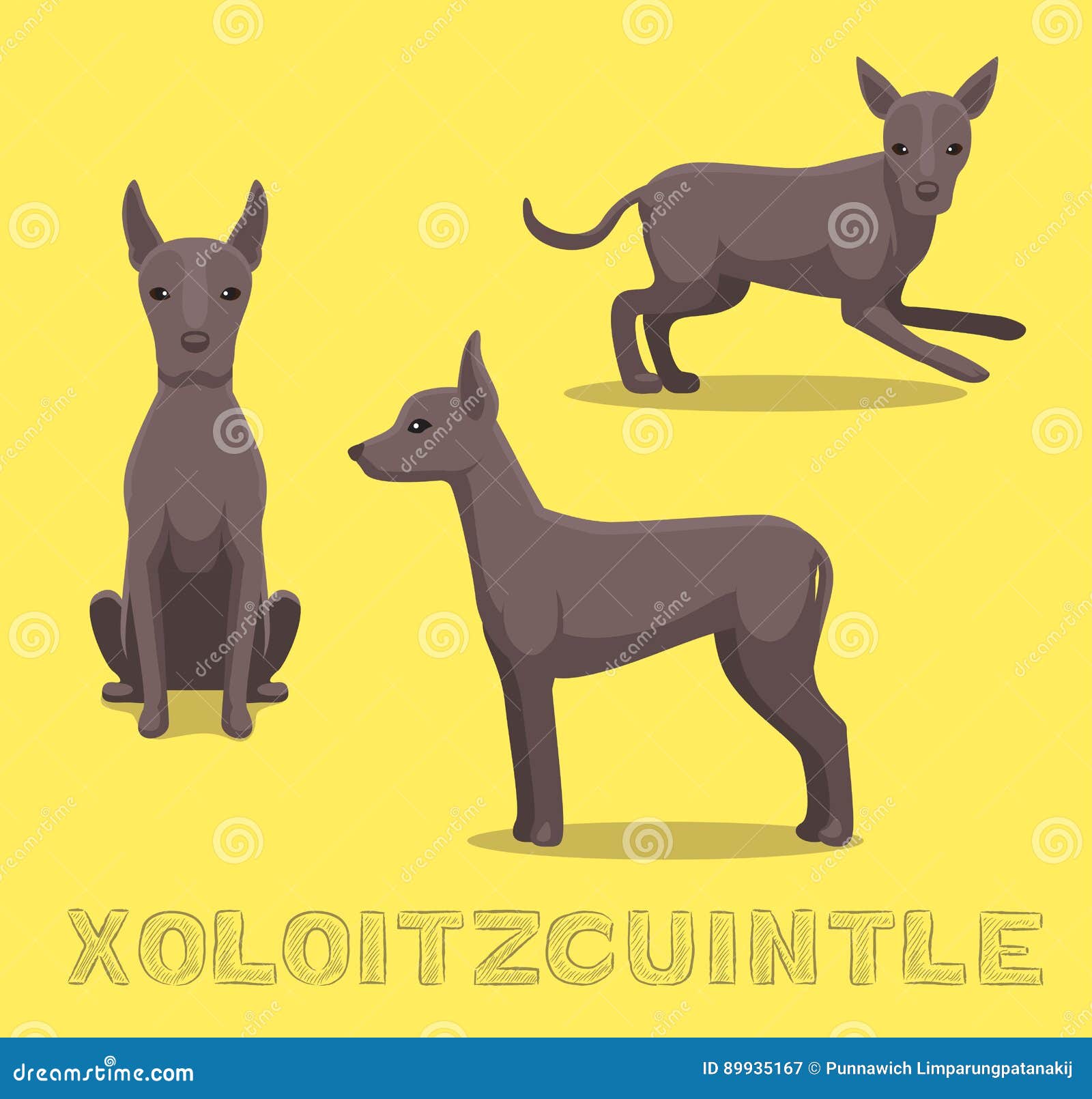 Xoloitzcuintli Dog Stock Illustrations – 63 Xoloitzcuintli Dog Stock Illustrations, Vectors & Clipart - Dreamstime Xoloitzcuintli Dog Stock Illustrations – 63 Xoloitzcuintli Dog Stock Illustrations, Vectors & Clipart - Dreamstime