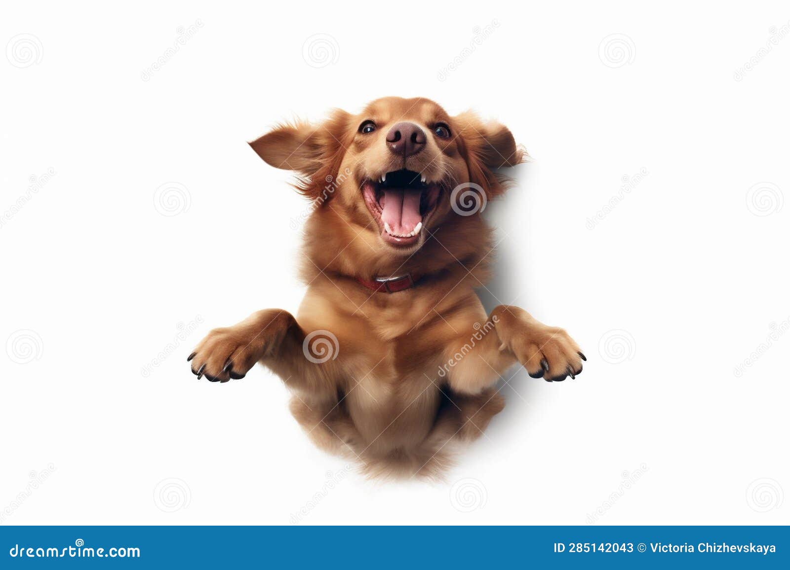 doggy dog pet purebred background young animal fly jump cute white. generative ai.
