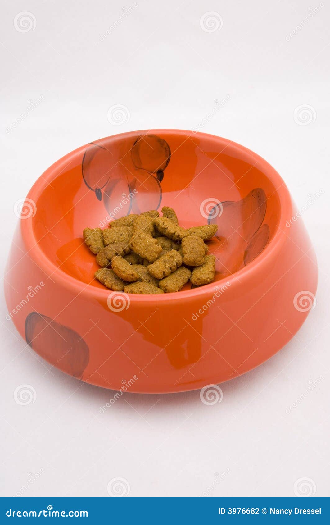 Dogs bowl stock photo. Image of paint, fancy, breakfast 3976682