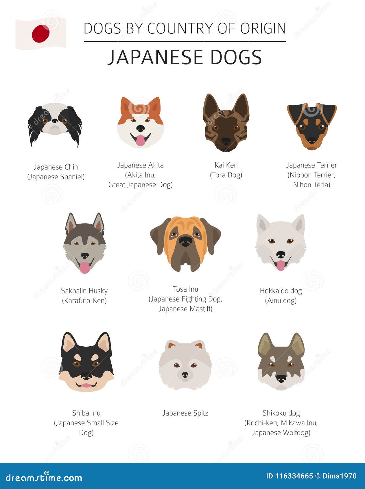 Kinds Of Dogs Chart