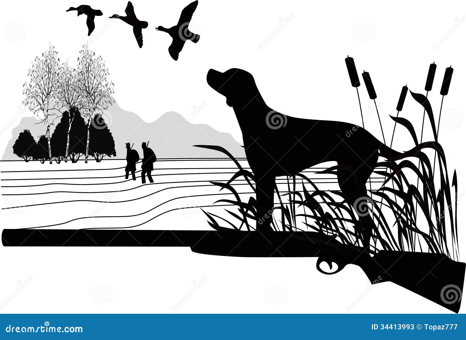 Dogs of a duck hunting stock vector. Illustration of landscape - 34413993
