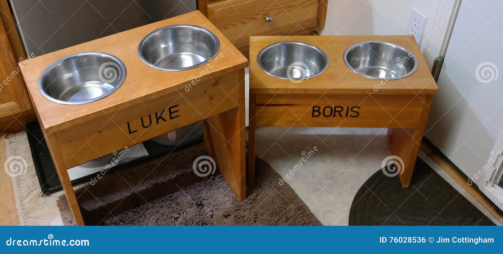Dogs Feeding Station stock photo. Image of station, elevated 76028536