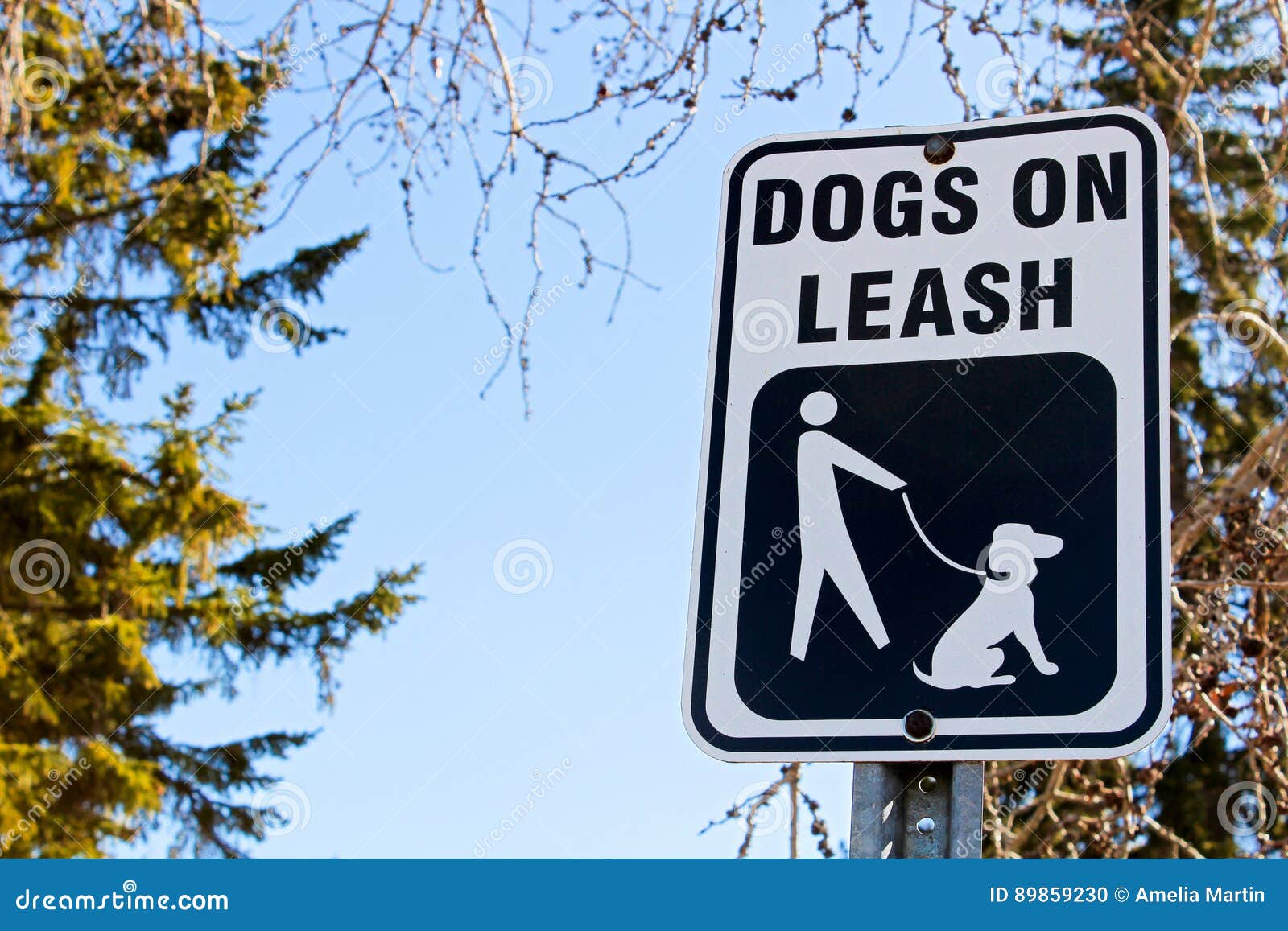 Dog Leash Law Sign Along Walking Path Stock Photography CartoonDealer