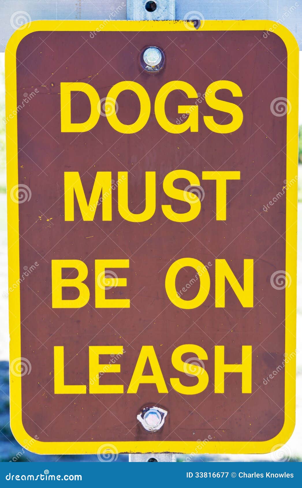 Dogs Must Stay on Leash Sign Stock Image Image of brown, warning