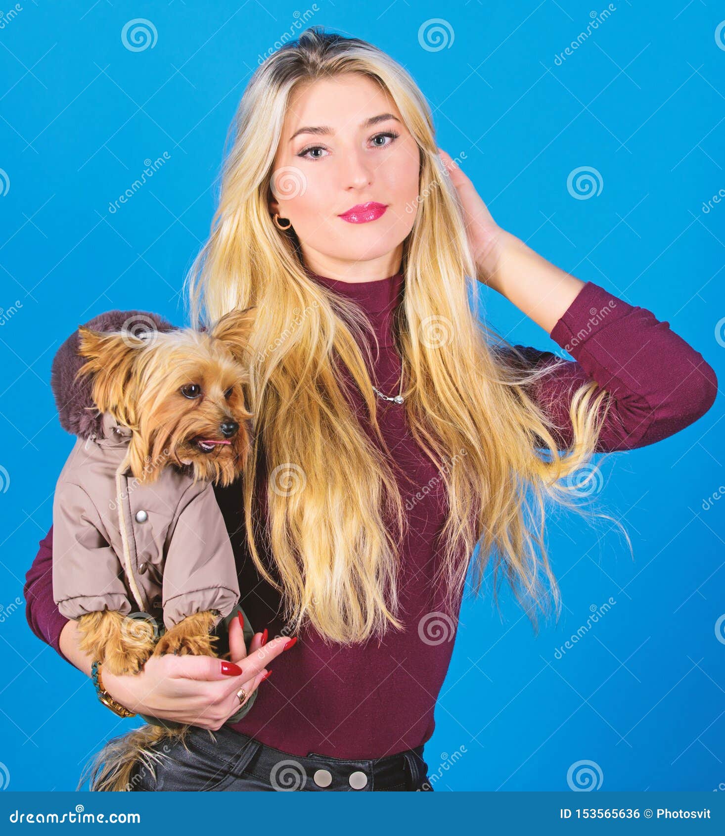 Dogs Need Clothes. Girl Adorable Blonde Hug Little Dog in Coat. Apparel and  Accessories. Pet Supplies Stock Photo - Image of fashionable, carry:  153565636