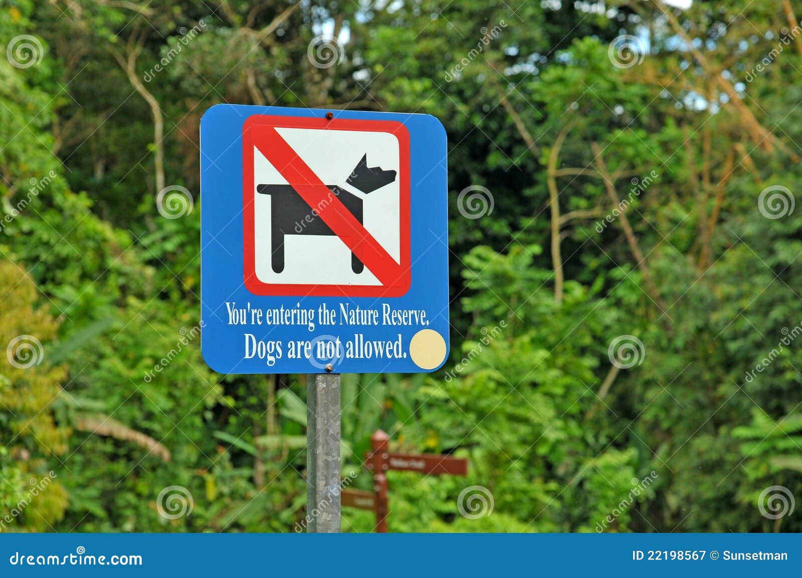 Dogs are Not Allowed Sign stock illustration. Illustration of pictorial