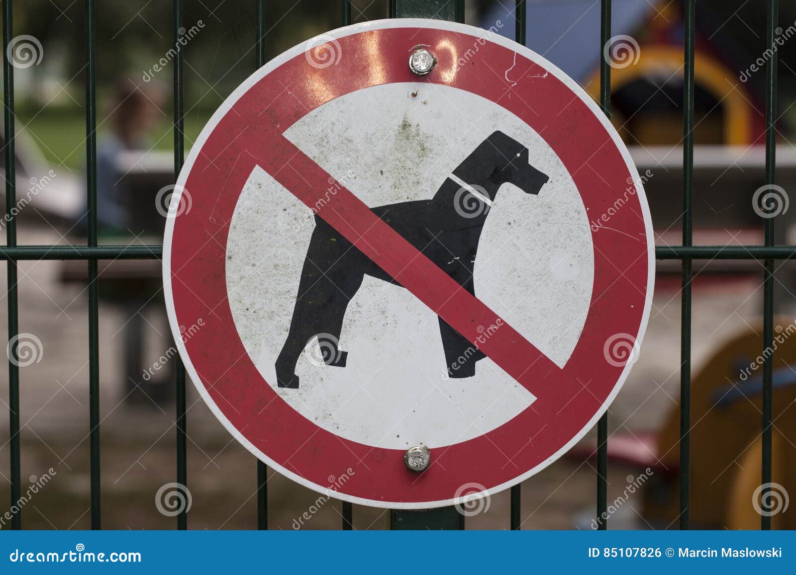 Dogs are not allowed, sign stock photo. Image of sandy 85107826