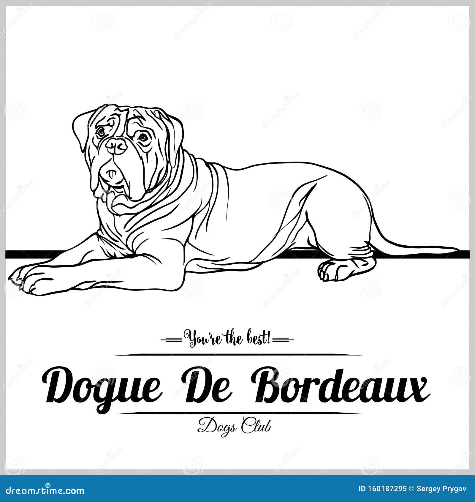 Dogue Template Dogue Template